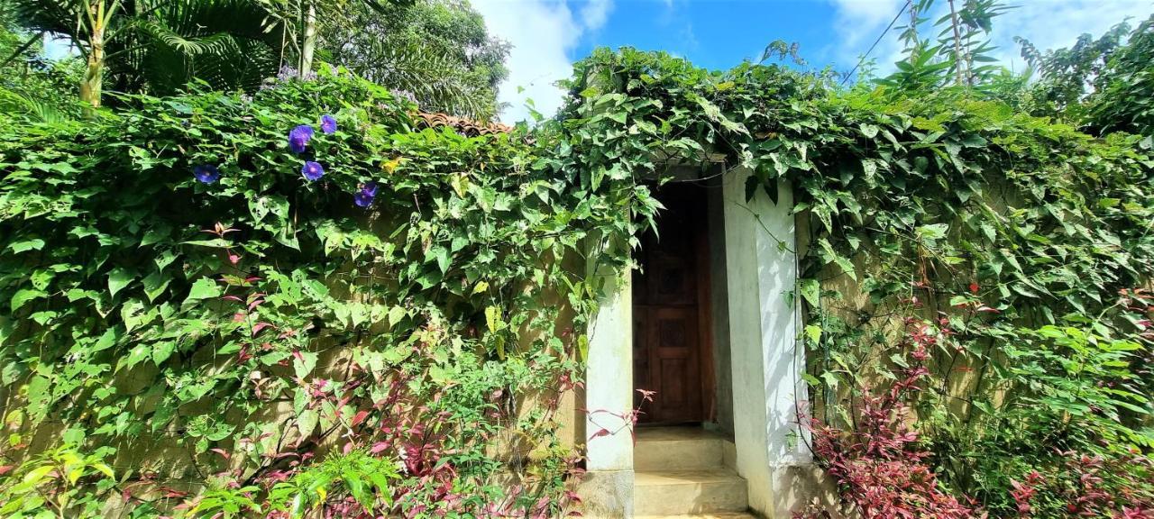 דיקוולה Sand Dollar House, Hiriketiya מראה חיצוני תמונה