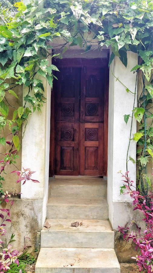 דיקוולה Sand Dollar House, Hiriketiya מראה חיצוני תמונה