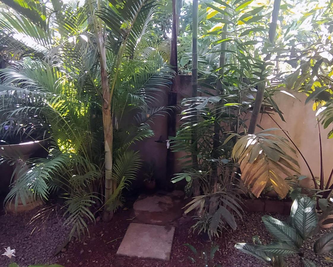 דיקוולה Sand Dollar House, Hiriketiya מראה חיצוני תמונה